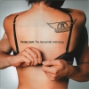 Young lust : the aerosmith anthology