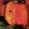 Jar of flies