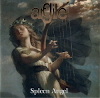 Spleen Angel