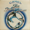 The snow goose (Vinyl)