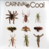 Fear not Carnival in coal
