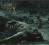 The Anthropocene Extinction