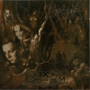 IX equilibrium