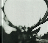 Ihsahn (Orchestral)