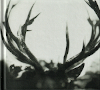 Ihsahn