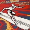 Surfing with the alien