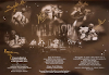 Live au Mennecy Metal Fest (Vinyl)