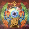 Crack the Skye (Vinyl)