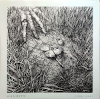 Angle Mort (White transparent Vinyl Limited To 200 Copies)