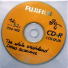 The white wasteland demo sessions