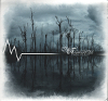 Aenigma mystica