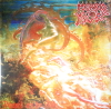 Blessed are the sick (Vinyl)
