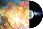 Blessed are the sick (Vinyl)