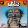 Mr. bungle