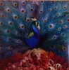 Sorceress (Vinyl)