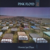 A momentary lapse of reason
