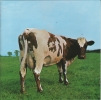 Atom heart mother