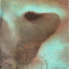 Meddle (Vinyl)