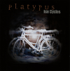 Ice cycles