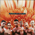 medium-herzeleid.jpg