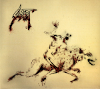 Hyaena