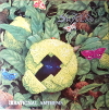 Irrational anthems (Vinyl)
