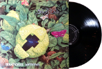 Irrational anthems (Vinyl)
