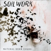 Natural born chaos