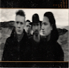 the Joshua Tree