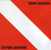 Diver down