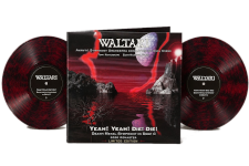 medium-yeahyeahdiedie-redandblackswirl-vinyl.png