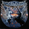 Wings of steel