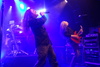 Vanden Plas