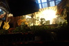 Rainbow Bar and Grill