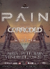Pain