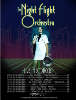 The Night Flight Orchestra