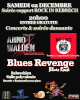 Blues Revenge